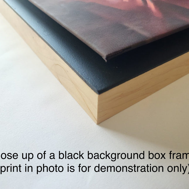 His Eye is on the Sparrow Canvas Print