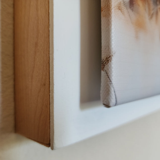 His Eye is on the Sparrow Canvas Print