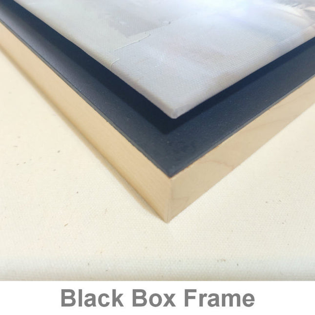 "Fear Not, Son" Giclée Canvas Print